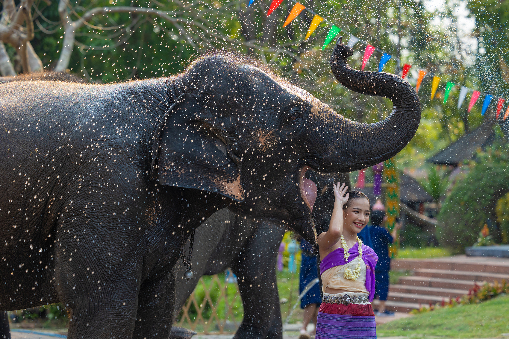 Wild Elephant Valley Public Welfare Experience and Secret Land Hiking